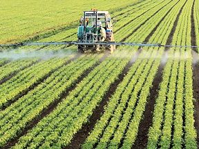 Farmer spraying insecticide on crops