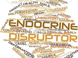 Word cloud highlighting the words 'endocrine' and 'disruptor'