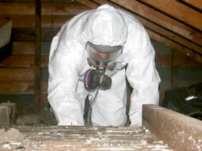 Worker removing asbestos from attic