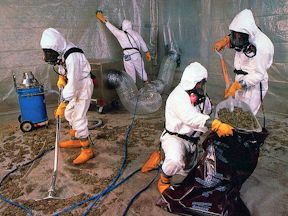 Image result for asbestos"