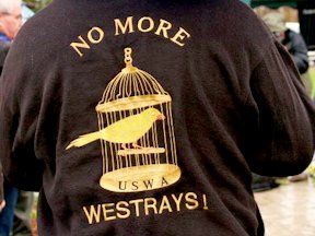 Back of person's shirt that says 'No more Westrays!' with the image of a canary