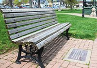 Memorial Bench